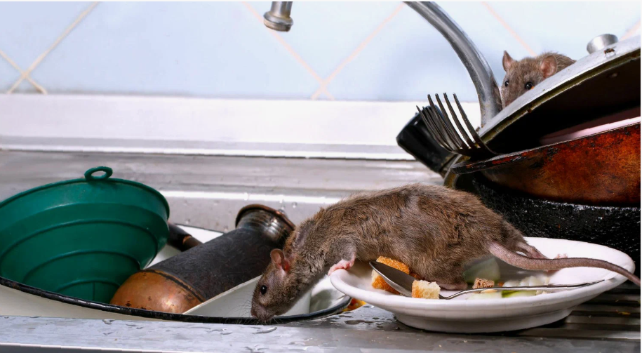 mouse-control
